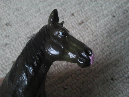 Am maul ist sie auch schattiert so wie am Bauch ,und blaue Augen hat sie auch